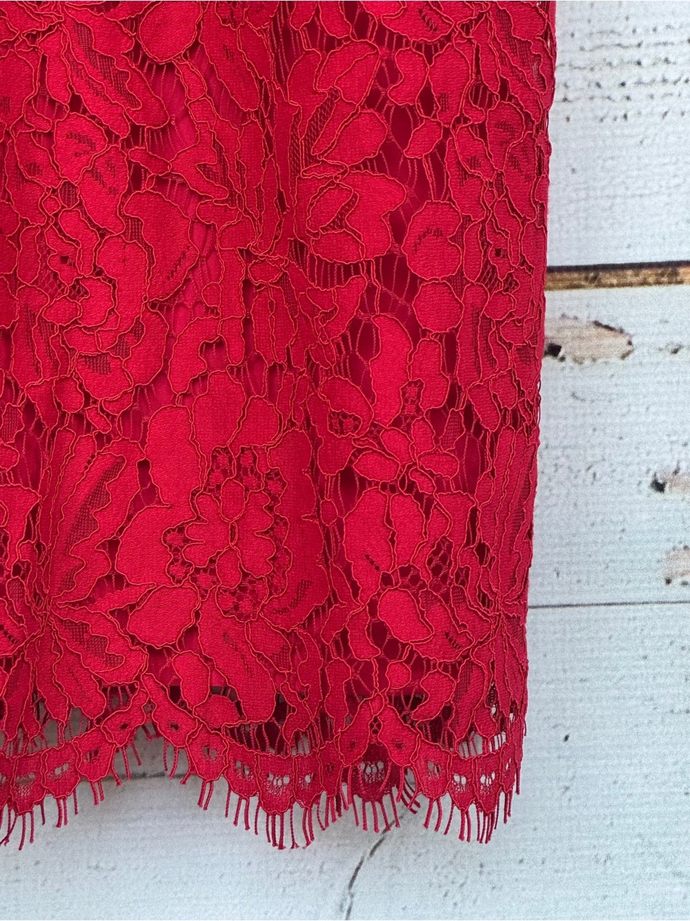 LOFT Sleeveless Floral Lace Overlay Shift Dress | Scalloped Fringe Hem- Size 6 - Picture 4 of 6